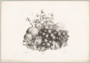Çiçekler, şeftali, nektarin, üzüm ve böğürtlen Çiçek ve Meyve Çalışmaları (...) 10. bölüm (dizi adı) by Anton Weiss