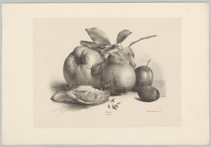 Meyve, erik ve istiridye Çiçek ve Meyve Çalışmaları (...) 10. bölüm (dizi adı) by Anton Weiss