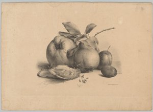 Meyve, erik ve istiridye Çiçek ve Meyve Çalışmaları (...) 10. bölüm (dizi adı) by Anton Weiss