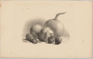 Kabak, şeftali, kayısı, erik ve fındık Çiçek ve Meyve Çalışmaları (...) 3. bölüm (dizi adı) by Anton Weiss