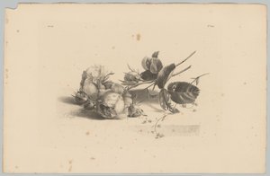 Rozen Bloem ve Fruit Studien (...) 3. bölüm (dizi adı) by Anton Weiss