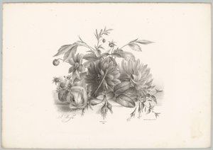 Güller, dahlias ve fuşya Çiçek ve Meyve Çalışmaları (...) 10. bölüm (dizi adı)