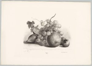 İncir, üzüm ve portakal Çiçek ve Meyve Çalışmaları (...) 10. bölüm (dizi adı) by Anton Weiss