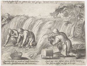 Arazide ayıklama Büyüyen tahıl (seri başlığı) by Antonie Wierix (II) (possibly)