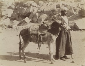 Bourier ve Bouriquer, Mısır by Antonio Beato