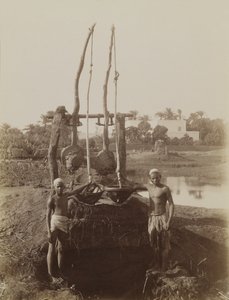 Sehaduf, Luksor by Antonio Beato