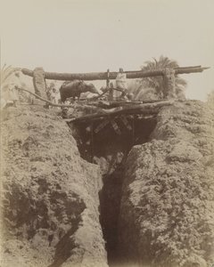 Sehaquieh, Mısır by Antonio Beato