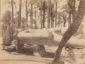 Saqqara'da Ramses Heykeli by Antonio Beato