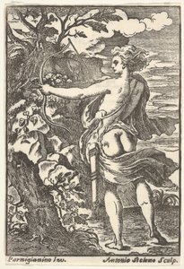 Callisto, Parmigianino