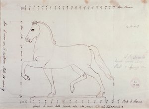 Binicilik anıtı için bir at için çalışma (çizim by Antonio Canova