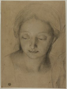  by Antonio Cavallucci