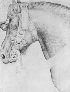Vallardi Albümünden bir atın başı by Antonio Pisanello