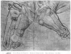 Vallardi Albümünden at başları by Antonio Pisanello
