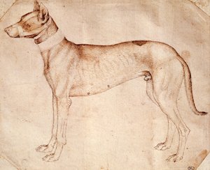 Pisanello olarak bilinen Antonio Pisano