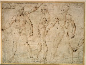 Üç çıplak adam. Antonio Pollaiuolo (Pollaiolo) (1432-1498) tarafından çizim