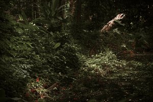 Işık ve Gölgeler, 2025 (dijital fotoğrafçılık)