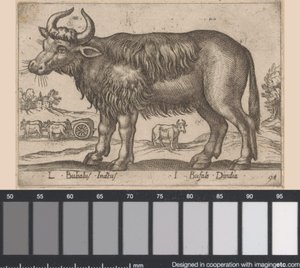 büfe L Bubalus Indicus / I Bufola Dindia (nesne üzerindeki başlık) Dieren en fabelwezens (dizi adı) Dünyanın en meraklı hayvanlarının yeni koleksiyonu (seri başlığı) by Antonio Tempesta