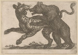 Kaplanla savaşan bir ayı Dövüşen hayvanlar (dizi başlığı) by Antonio Tempesta