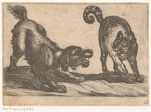 Kediyle dövüşen bir köpek Hayvanlarla dövüşüyor (dizi başlığı) by Antonio Tempesta