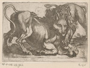 Boğaya saldıran aslan Dövüşen hayvanlar (dizi başlığı) by Antonio Tempesta