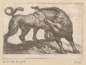 Yaban Domuzu Dövüşen Bir Leopar Dövüşen Hayvanlar (dizi başlığı) by Antonio Tempesta