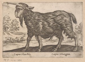 Tek boynuzlu keçi Capra Silvestris/ Capra Selvaggia (nesne üzerindeki başlık) Dieren en fablewezens (dizi adı) Dünyanın en meraklı hayvanlarının yeni koleksiyonu (seri başlığı) by Antonio Tempesta