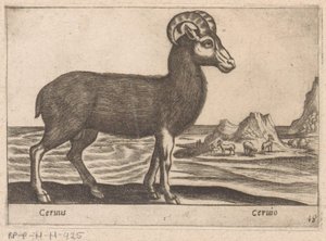 Mücevherler Cerinis / Ceruio (nesne üzerindeki başlık) Dieren en fabelwezens (dizi adı) Dünyanın en meraklı hayvanlarının Nova koleksiyonu (dizi başlığı) by Antonio Tempesta