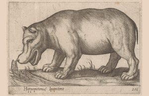su aygırı Su aygırı/Ippopotamo (nesne üzerindeki başlık) Hayvanlar ve efsanevi yaratıklar (dizi adı) Nova raccolta de li animali piu curiosi del mondo (dizi başlığı) by Antonio Tempesta