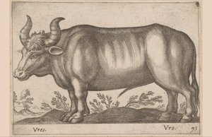 Yuvarlak Vres / Vro (nesne üzerindeki başlık) Hayvanlar ve Masallar (dizi adı) Nova raccolta de li animali piu curiosi del mondo (dizi başlığı) by Antonio Tempesta