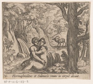 Salmacis en Hermaphroditus Hermaphroditus ve Salmacis tek bir bedende (nesne üzerindeki başlık) Metamorfozlar veya dönüşümler (dizi başlığı) Metamorphoses van Ovidius (dizi başlığı) by Antonio Tempesta