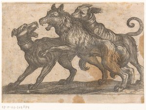 İki köpek bir kurtla dövüşüyor Hayvanlarla dövüşüyor (dizi adı) by Antonio Tempesta