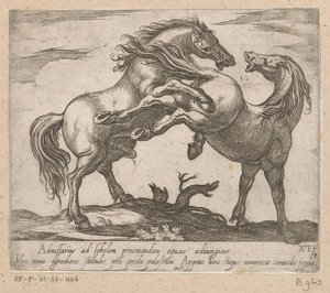 twee parende paarden Paarden uit verschillende landen (seri başlığı) Bu liderlik altında prens, kahramanın ağzıyla kutlanacak, o adam bu yıldızları yenecek.