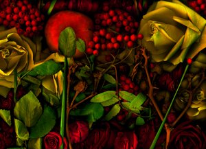 05 sihirli bahçe no.36, 2011 (fotoğraf)