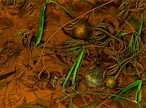 Earthart no.2, 2014 (fotoğraf)