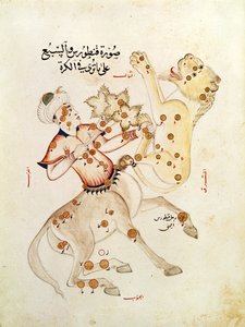 Ms 5036 fol.238 Abd-al-Rahman Al Sufi