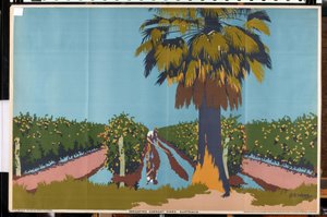 Frenk Üzümü Asmalarının Sulanması - Avustralya (renkli litho)