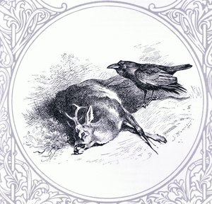Geyik ve Kuzgun, pub. Kitap Kulübü Associates tarafından by Archibald Thorburn