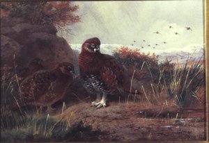 Bir Kış Manzarasında Orman Tavuğu by Archibald Thorburn