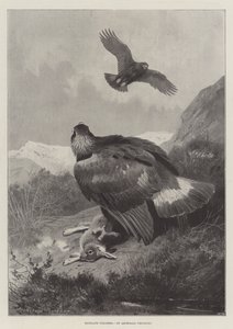 Yayla Avcıları by Archibald Thorburn