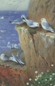 martılar by Archibald Thorburn