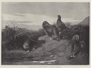 Spor Konuları, On İkinci Şafak by Archibald Thorburn
