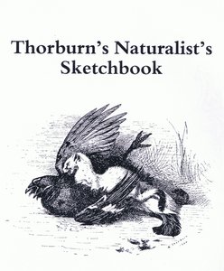 Başlık Sayfası (Stoat ve Gamebird), pub. Kitap Kulübü Associates tarafından by Archibald Thorburn