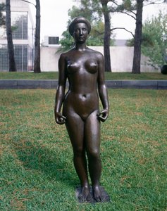 Flora, Çıplak