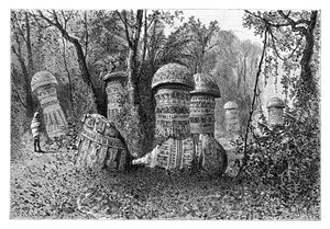 Bir Ahom tapınağının kalıntıları, Dinajpur, Yukarı Assam, Hindistan, 1895.