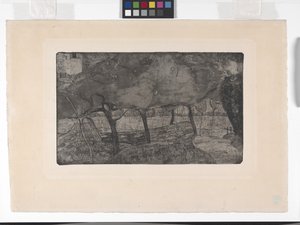 Les Pommiers (Elma Ağaçları) (dağlama, aquatint ve kuru nokta) by Armand Séguin