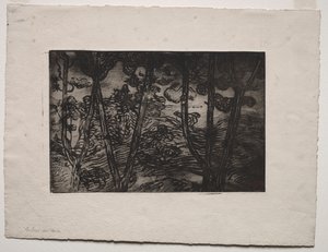 Gece Ağaçları, c. 1894. by Armand Séguin