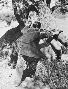 Salvatore Giuliano, tabancayı doğrultuyor, 1937