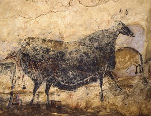 Kara İnek. MÖ 16.000-15.000 civarında Lascaux