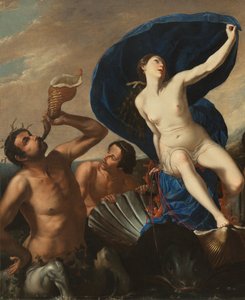Galatea