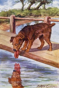 Ezop Masalları: Köpek ve Gölge (renkli taş)
